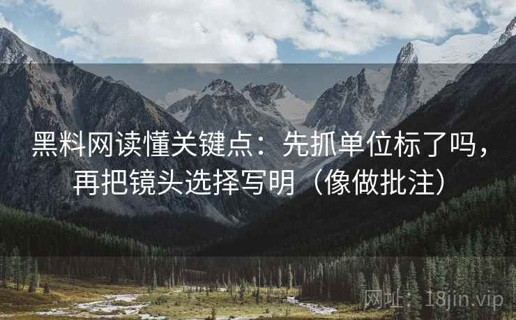 黑料网读懂关键点：先抓单位标了吗，再把镜头选择写明（像做批注）